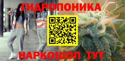 spice Канаш