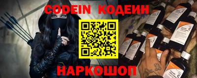 apvp Камышлов