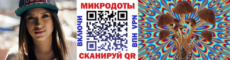 блэк спрут ссылка  Сегежа  Галлюциногенные грибы MAGIC MUSHROOMS 