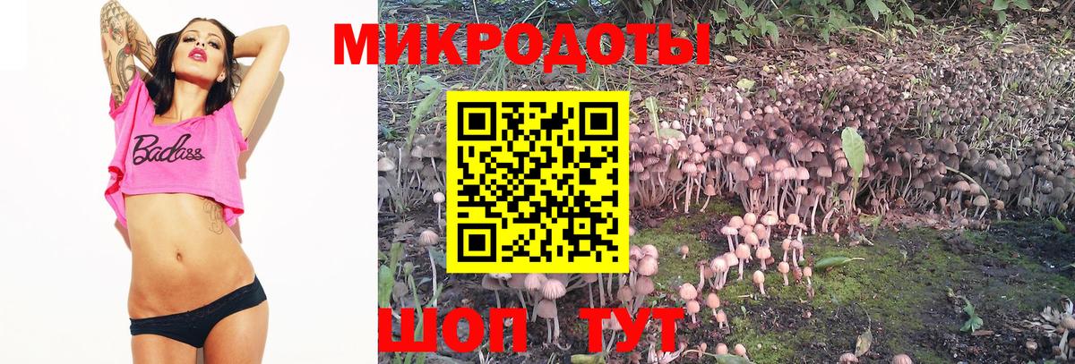 наркошоп  Вход с VPN  Сегежа  Галлюциногенные грибы ЛСД 